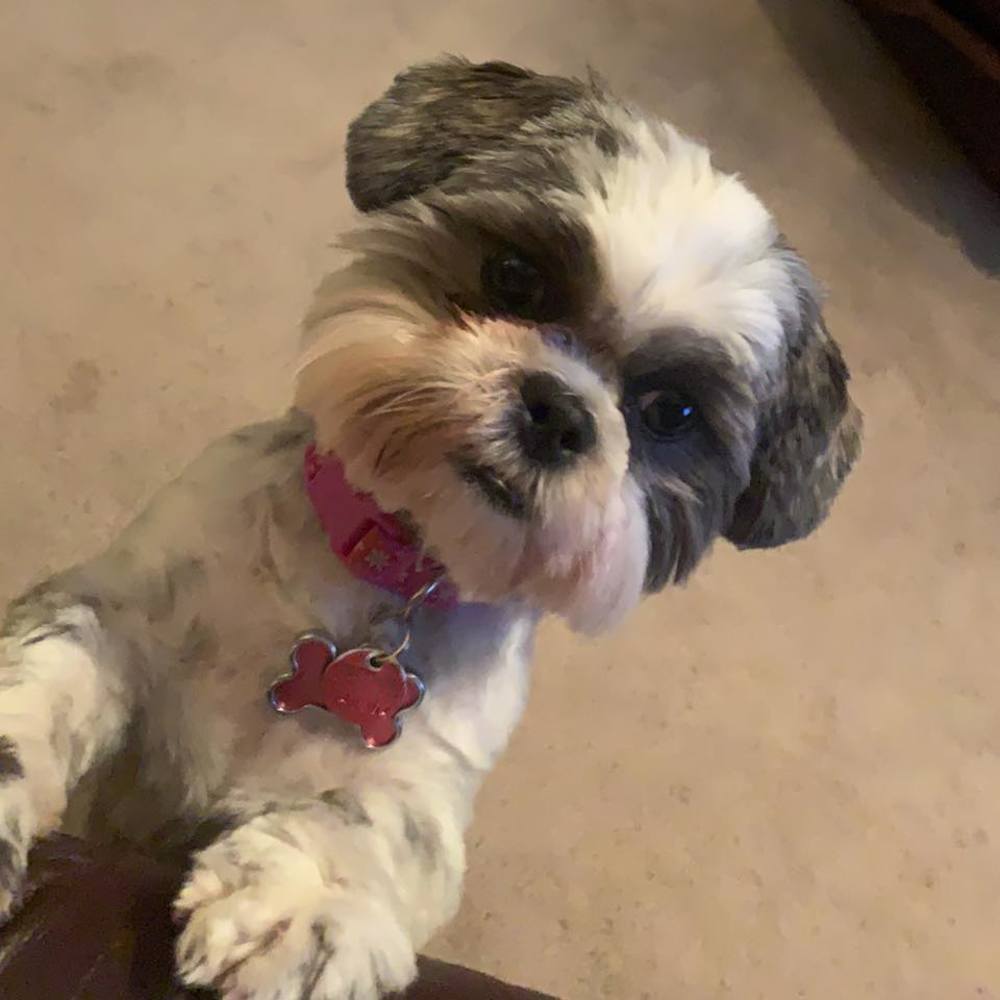 Meet your Posher, Karen